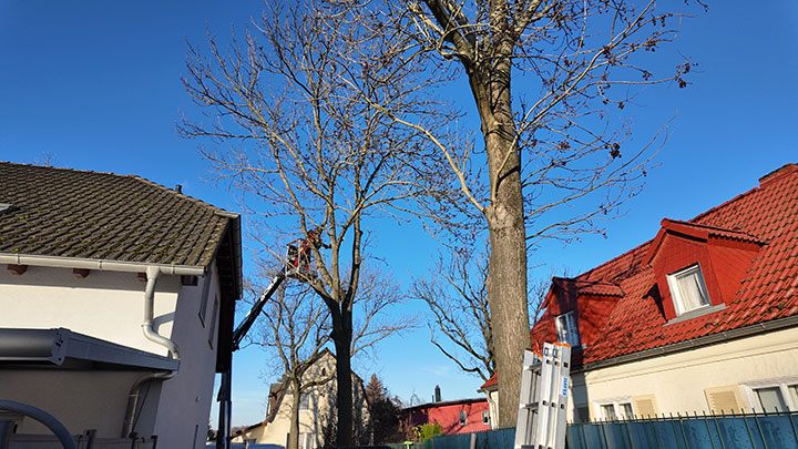 ganz schön hoch Image